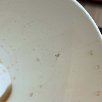 Popeyes Şubesinde Hijyen Skandalı Ve Personel İhmali