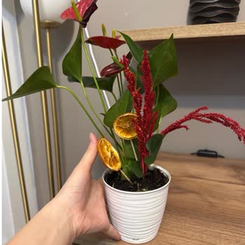 Anneler Günü Siparişimde Hayal Kırıklığı: Eksik Ve Alakasız Ürünler, Yetersiz Hizmet