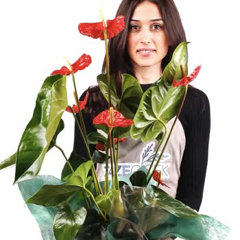 Anneler Günü Siparişimde Hayal Kırıklığı: Eksik Ve Alakasız Ürünler, Yetersiz Hizmet