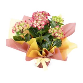 Sipariş Edilen Çiçekle Gelen Arasında Büyük Fark Hayal Kırıklığı Yaşadım