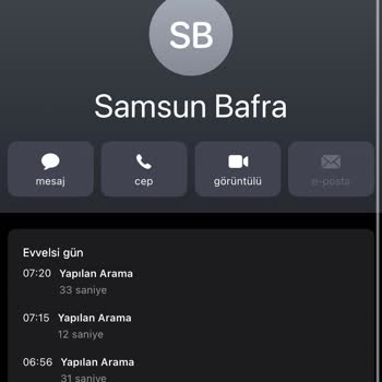 Samsun-Bafra Dolmuşlarında Gecikme Ve Alternatif Ulaşım Talebi