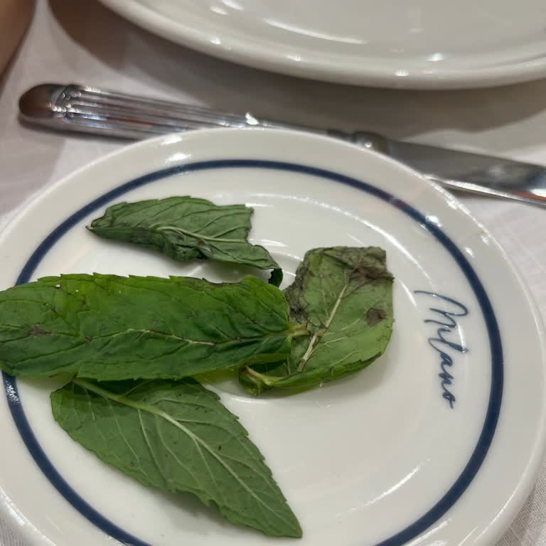 Filo D'olio'da Servis Ve Sunum Kalitesi Hayal Kırıklığı Yarattı