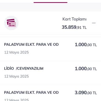 Lidio Ödeme Hizmetleri Kredi Kartımdan Bilgim Dışında Yüklü Miktarda Para Çekildi