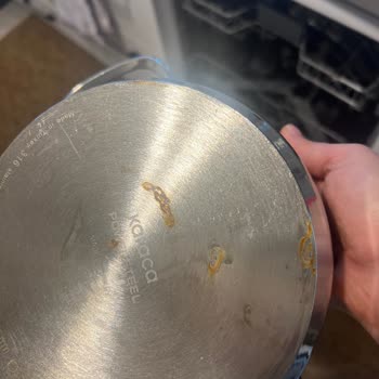 Bulaşık Makinesi Kullanımında Yaşanan Sorunlar ve Destek Talebi