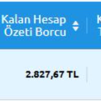 Yıllık Kart Ücretinin Habersiz Ve Haksız Yansıtılması Nedeniyle Memnuniyetsizlik