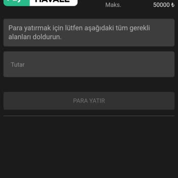 Yatırdığım Para Hesabımda Yok, Mağduriyetim Giderilmiyor