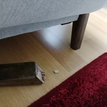 Kısa Sürede Hasar Gören Koltuklar İçin Para İadesi Talebi