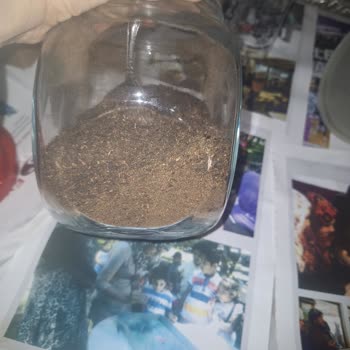 Aldığım Çay Tozlu Ve Bulanık Çıkıyor