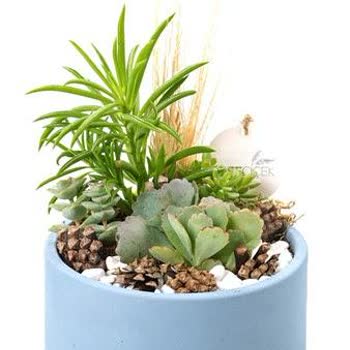 Yanlış Ve Kötü Durumda Çiçek Teslimatı, Yetersiz İade Süreci