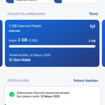 Kısa Sürede Yüksek İnternet Tüketimi Ve Destek Sorunu