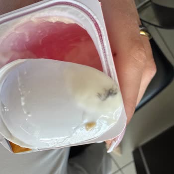 Kapalı Probiyotik Yoğurttan Kuş Tüyü Çıkması Ve Hijyen Endişesi