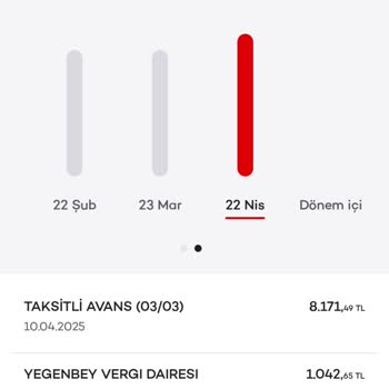 Kapatılan Kredi Kartı Avansına Fazladan Borç Yansıtılması