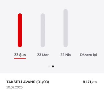 Kapatılan Kredi Kartı Avansına Fazladan Borç Yansıtılması