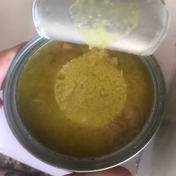 Zeytinyağlı Ton Balığında Garip Oluşumlar Ve Tüketim Sorunu