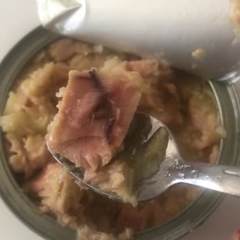 Zeytinyağlı Ton Balığında Garip Oluşumlar Ve Tüketim Sorunu