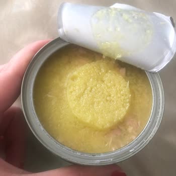 Zeytinyağlı Ton Balığında Garip Oluşumlar Ve Tüketim Sorunu