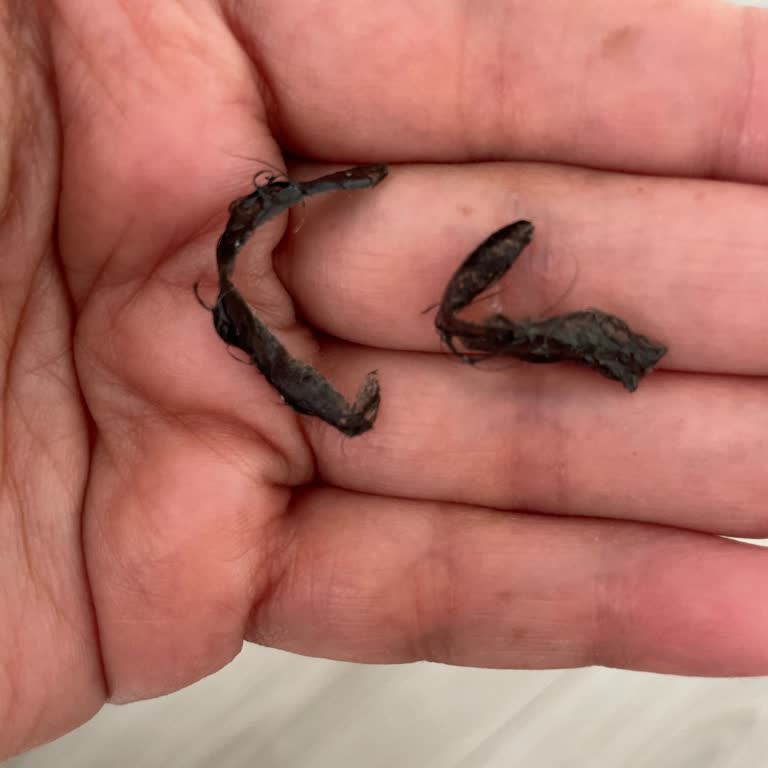 Maybelline Tattoo Brow Caused My Eyebrows to Fall Out and Turned Green