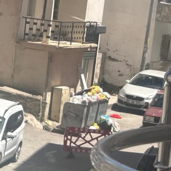 İzmir'de Çöpler Alınmıyor, Sağlığımız Tehlikede!