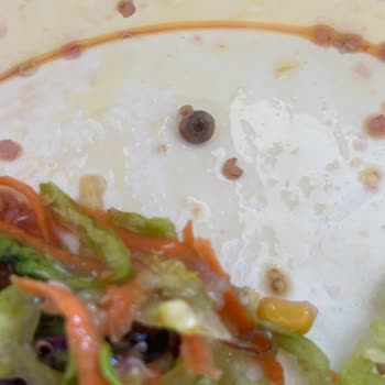 Falafel Salatada Yabancı Madde Çıkması