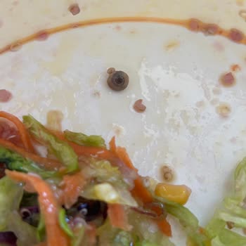 Falafel Salatada Yabancı Madde Çıkması