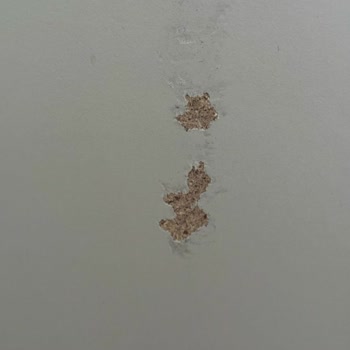 Kelebek Mobilya’dan Satış Sonrası Hizmette Hayal Kırıklığı Ve Çözüm Eksikliği