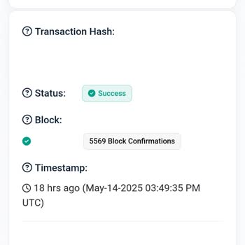 USDT Transferim 20 Saattir Hesabıma Geçmedi, Canlı Destek Sorunu Çözmüyor