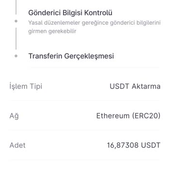 USDT Transferim 20 Saattir Hesabıma Geçmedi, Canlı Destek Sorunu Çözmüyor