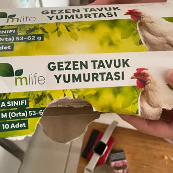 Aldığım Yumurtadan Çıkan Ölü Sinek Karşısında Yaşadığım Şaşkınlık