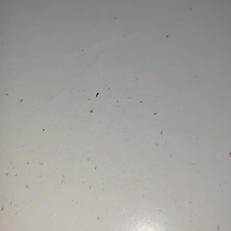 Fiber İnternet Başvurusunda Modem Ücretiyle İlgili Yaşadığım Sorun