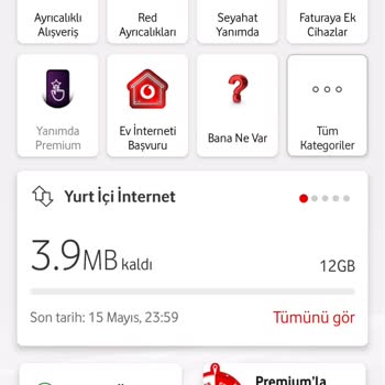 Yapay Zeka Sistemiyle Hatalı Aşım Paketi Uygulaması