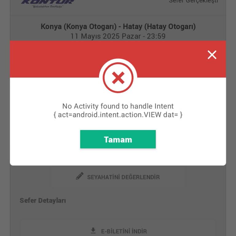 Satın Alınan Otobüs Biletinin E-Bileti Oluşturulmadı