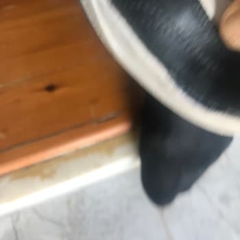Ayakkabıda Artan Ses Ve Açılma Sonrası Mağduriyet Yaşadım