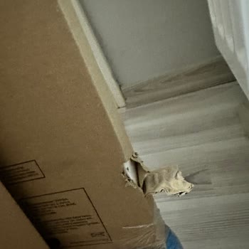 Horoz Lojistik Bir Ayda İki Kez Hasarlı Teslimat Mağduriyeti