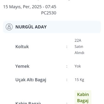 Pegasus'ta Kapıların Erken Kapanması Nedeniyle Uçağa Alınmama Ve Mağduriyet