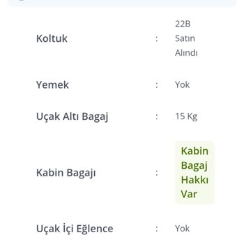 Pegasus'ta Kapıların Erken Kapanması Nedeniyle Uçağa Alınmama Ve Mağduriyet