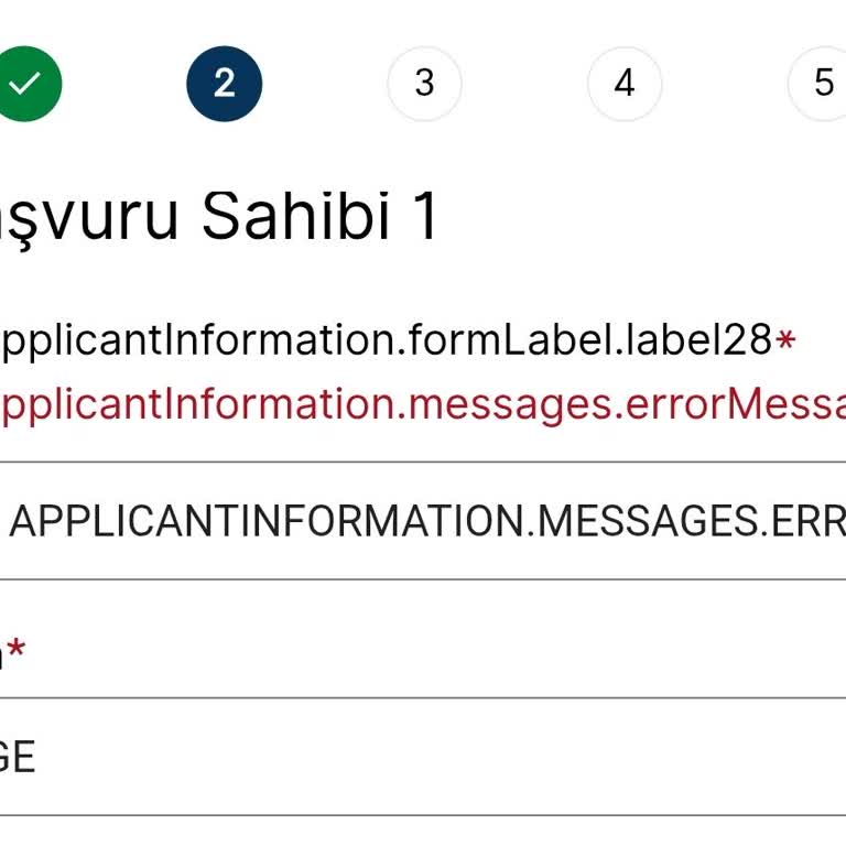 I Can’t Book a Denmark Visa Appointment on VFS Global Due to Constant Error Message