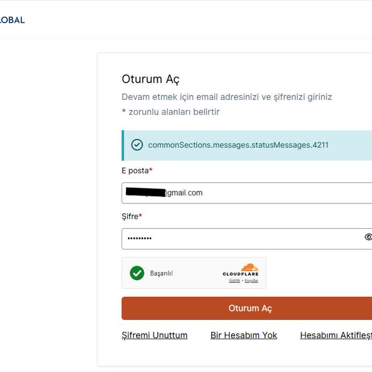 I Can’t Log In or Book My France Visa Appointment on VFS Global Due to System Errors