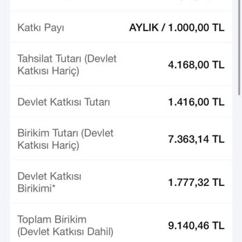 BES İptalinde Ana Paranın İadesi Yapılmıyor, Bilgilendirme Yetersiz