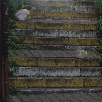 Şişli Paşa Mahallesi'nde Çöp Konteyneri Eksikliği Ve Hijyen Sorunu