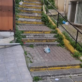 Şişli Paşa Mahallesi'nde Çöp Konteyneri Eksikliği Ve Hijyen Sorunu