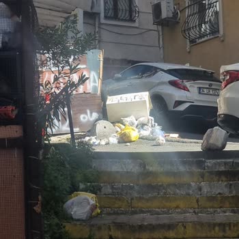 Şişli Paşa Mahallesi'nde Çöp Konteyneri Eksikliği Ve Hijyen Sorunu