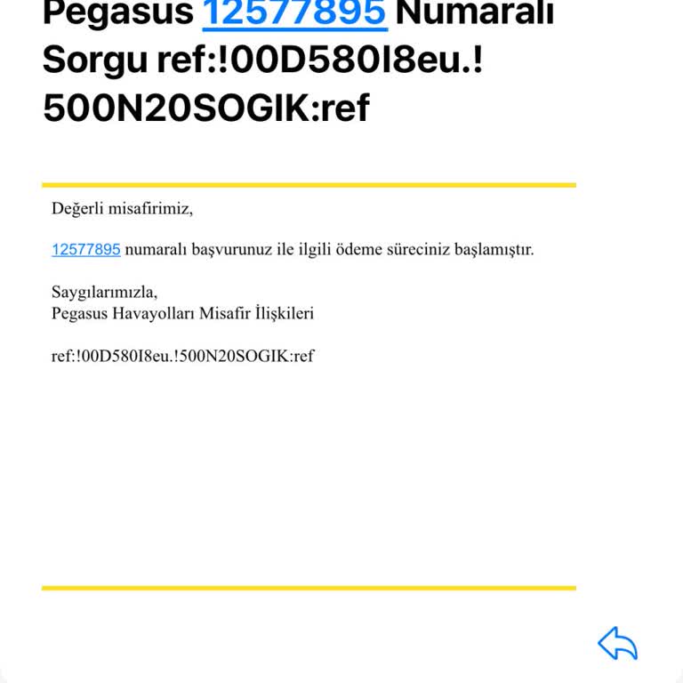 Ücret İadesi Bir Aydır Yapılmadı, Mağdur Edildim