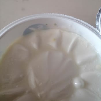 Sek Quark Ürünlerinde Tekrarlayan Küf Sorunu Ve Mağduriyet