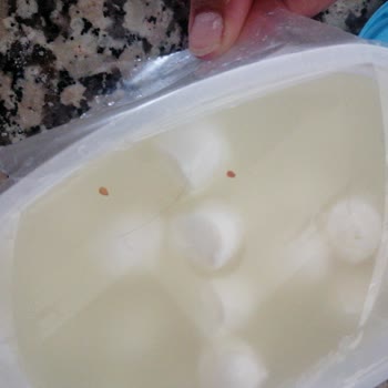 Kapalı Paket Peynirden Saç Teli Çıkması Hijyen Endişesi