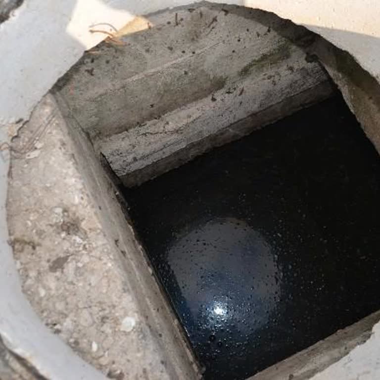 Kanalizasyon Suyu İle Tarımsal Sulama: Sağlığımız Tehdit Altında