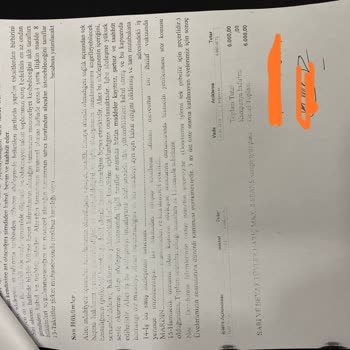 Cayma Hakkı Sonrası Paramız İade Edilmiyor, Sürekli Oyalıyorlar