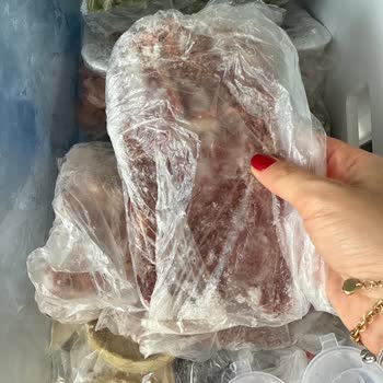 Bosch Buzdolabında Sürekli Termostat Arızası Ve Çözüm Eksikliği