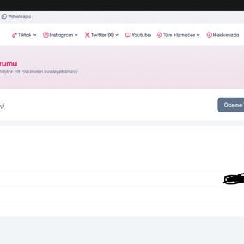 Satın Aldığım TikTok Takipçileri Hala Yüklenmedi, Mağdurum