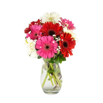 Fiyonk Çiçek Bahçelievler Pişmanlığı