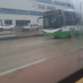 Bebek Bileti Sorunu Nedeniyle Uçuşun İptal Edilmesi Ve Yetersiz Destek
